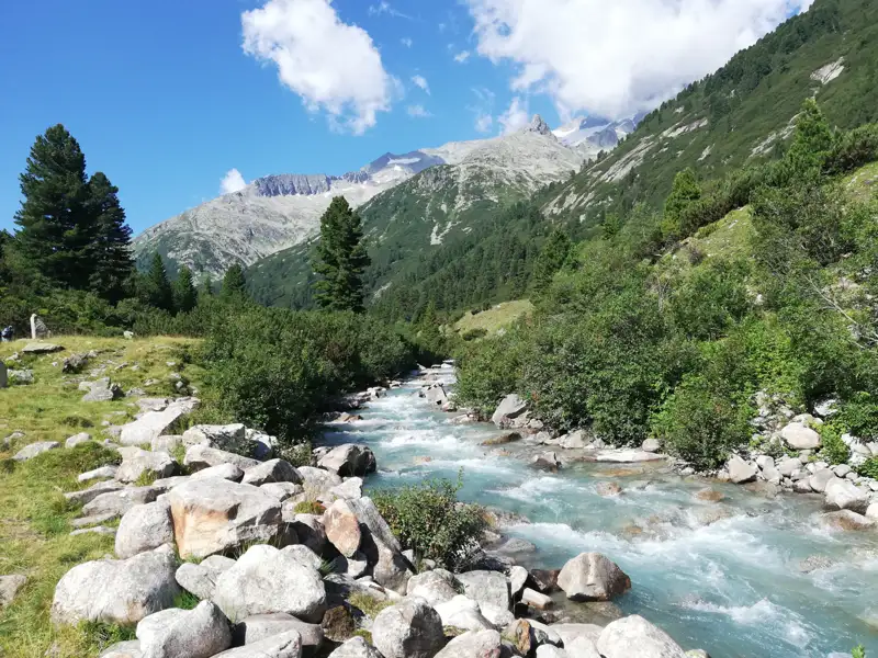 Gebirgsbach mit klarem Wasser, umgeben von Steinen und grünen Pflanzen. Im Hintergrund erheben sich die Gipfel der Alpen.