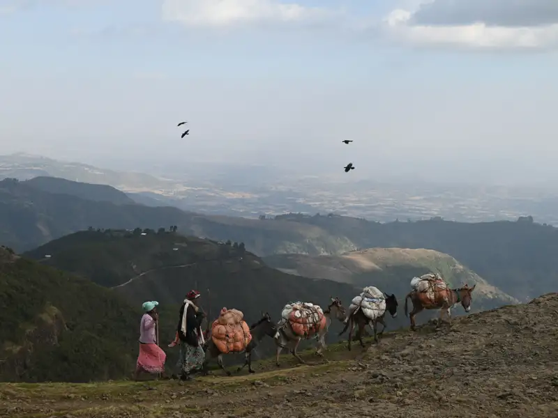 Zwei Personen und ihre Esel auf einer Wanderung in den Bergen.