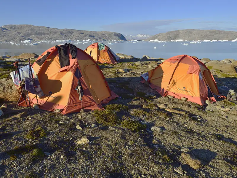 Walschwanzflosse im Wasser vor der Küste Grönlands.