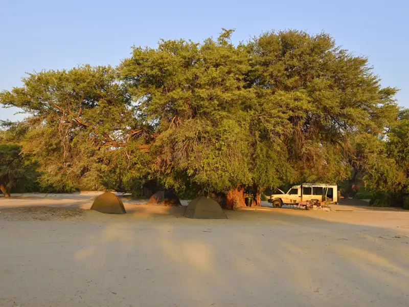 Zelte und Safari-Fahrzeug im Schatten eines Baumes auf einem Campingplatz.