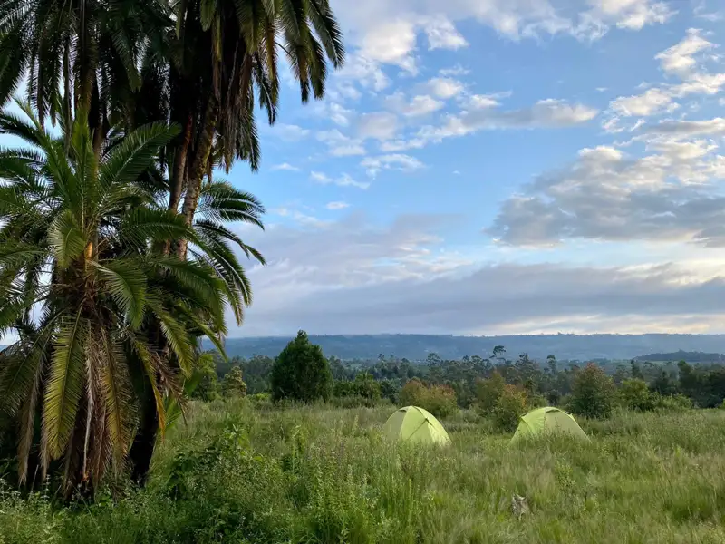Zwei Zelte auf einem Campingplatz in der Nähe von Palmen mit Aussicht.