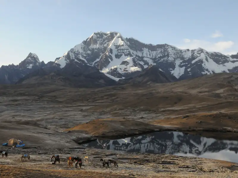 Berglandschaft mit See und Packtieren