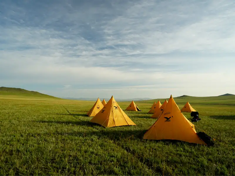 Gelbe Zeltunterkünfte auf einer grünen Wiese, Teil der Reiseunterkunft.