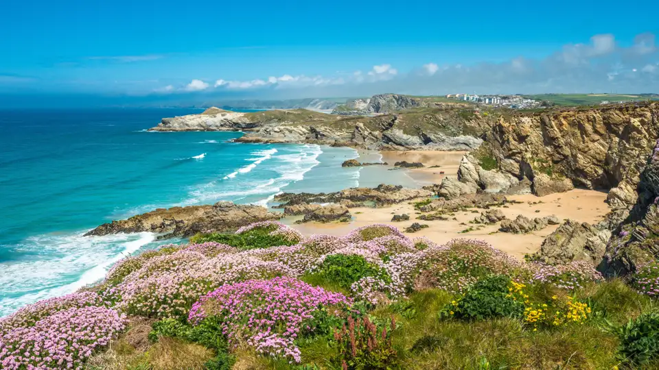Panoramablick auf die Küstenlinie mit blühenden Pflanzen, Sandstrand und azurblauem Meer.