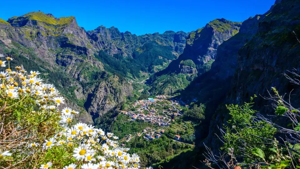 Talblick auf Madeira mit Bergen und Wildblumen.